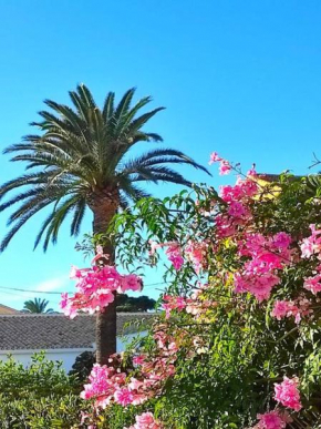 Bonito alojamiento muy cerca de la playa de Jávea